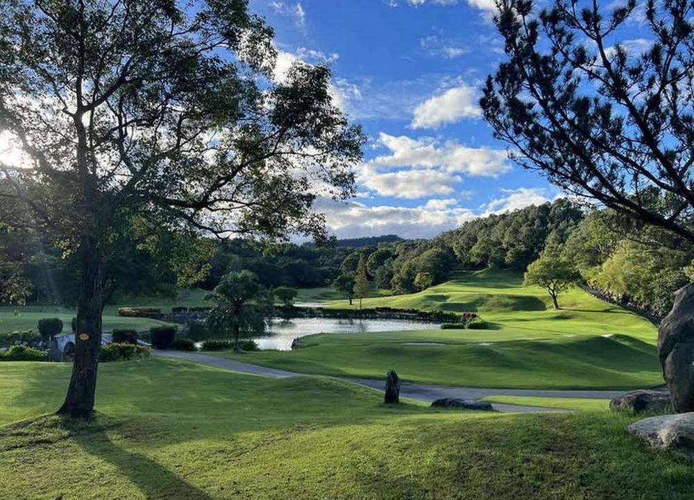 Lily Golf Club: trees framing a pond and rolling fairways